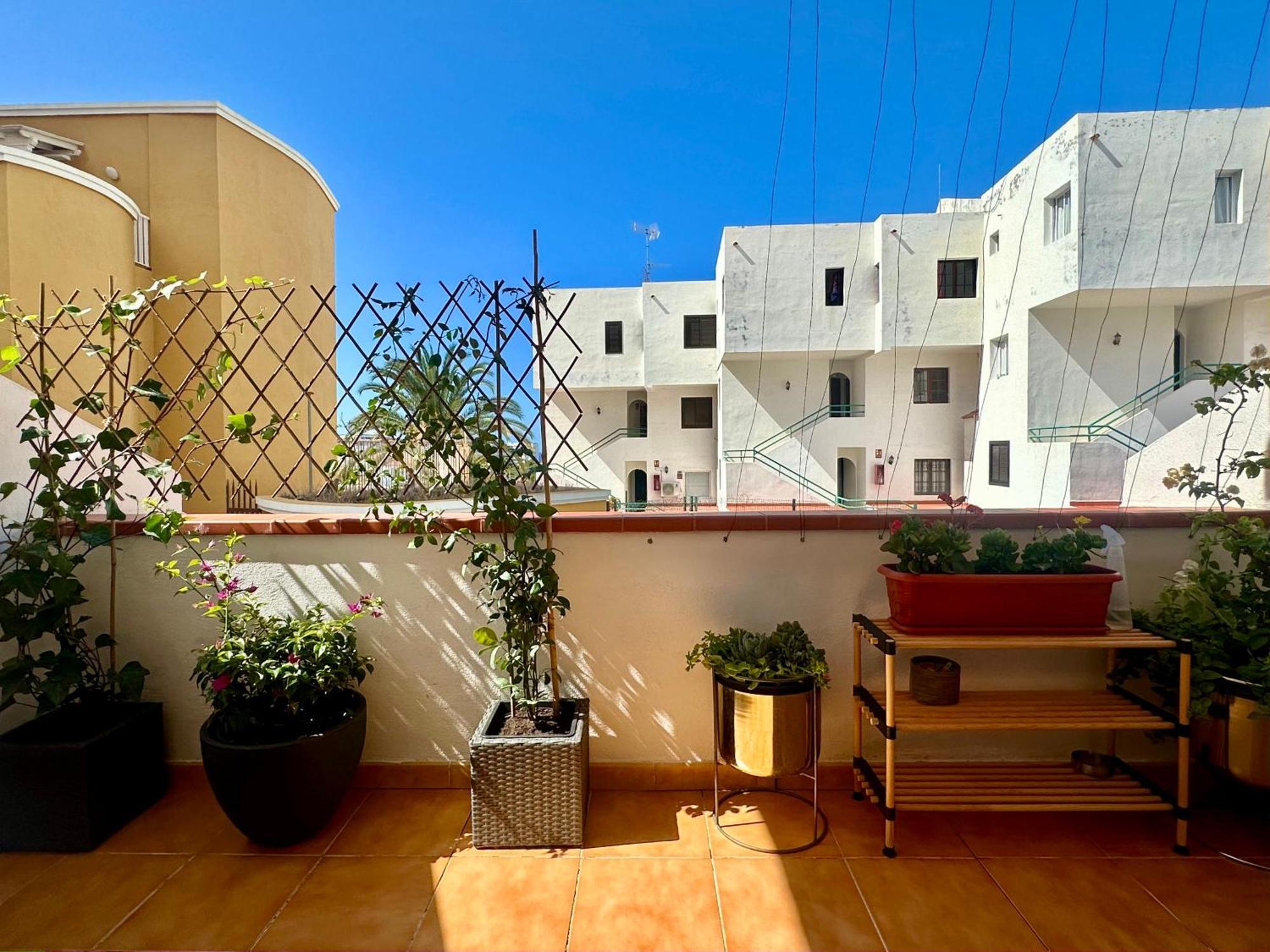 Apartment In Ocean Park Ii, Costa Adeje, Tenerife Costa Adeje (Tenerife) Exterior foto