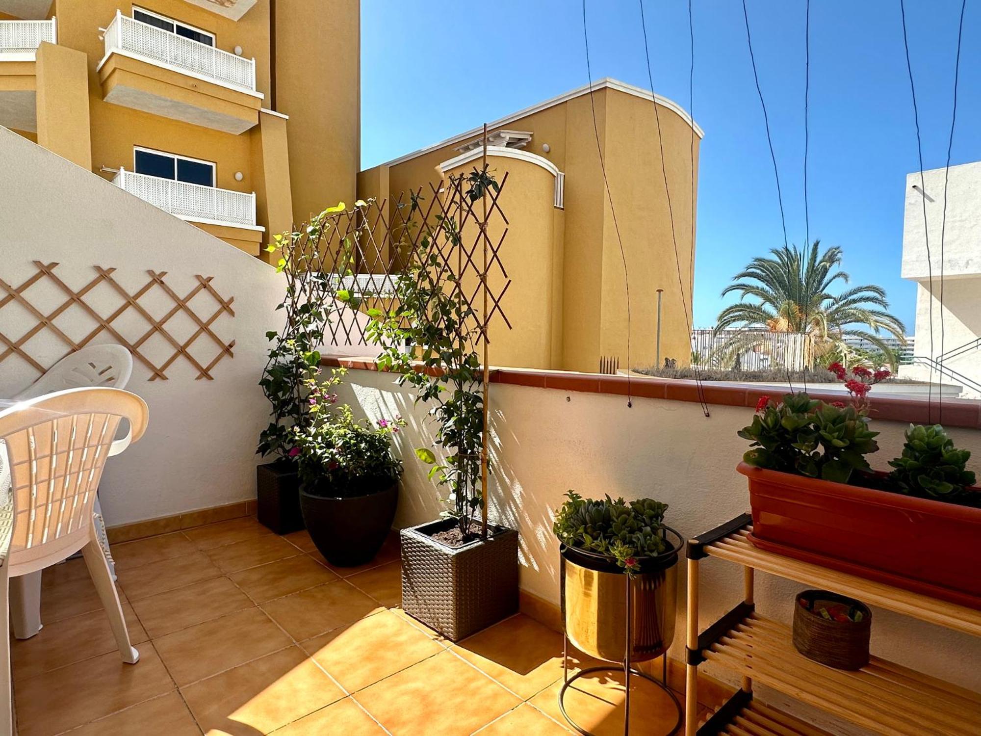 Apartment In Ocean Park Ii, Costa Adeje, Tenerife Costa Adeje (Tenerife) Exterior foto